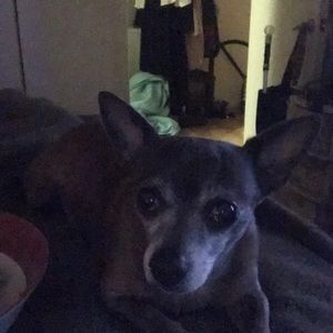 My beautiful Neeenyo! ❤❤💋😁😁😁💋💋💋💋😫😫😫💩😁